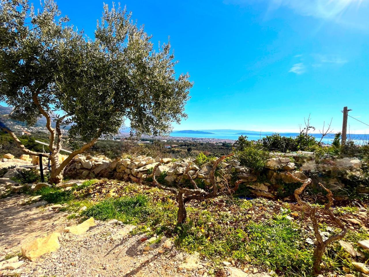 Villa Bepina, Surrounded By Sea, Olive, Vineyard Kaštel Novi Exterior foto