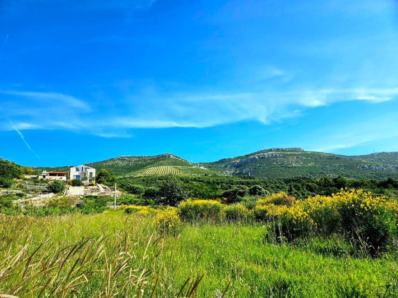 Villa Bepina, Surrounded By Sea, Olive, Vineyard Kaštel Novi Exterior foto