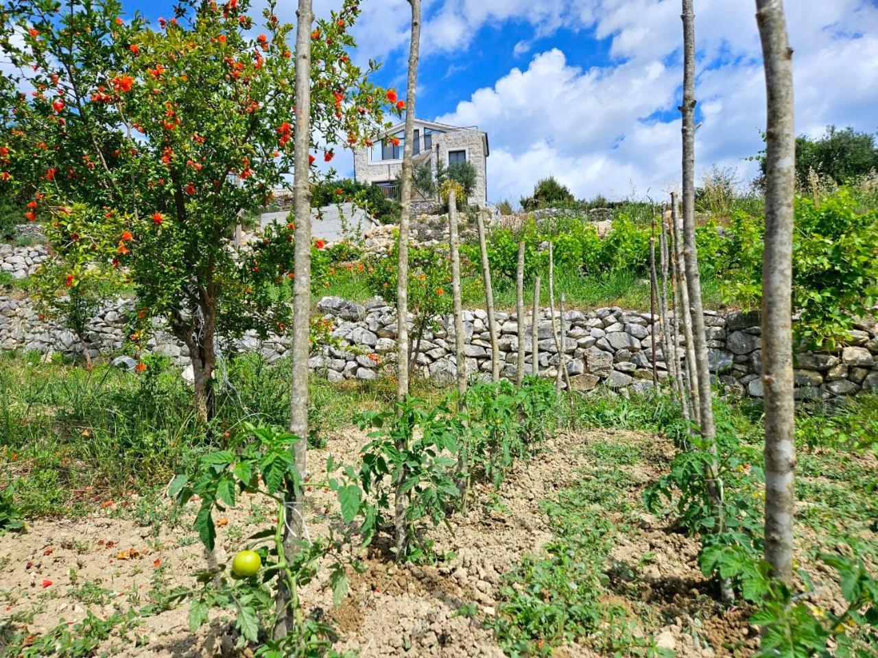 Villa Bepina, Surrounded By Sea, Olive, Vineyard Kaštel Novi Exterior foto