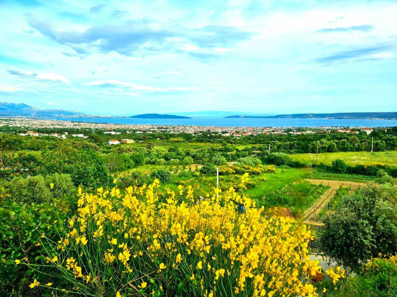 Villa Bepina, Surrounded By Sea, Olive, Vineyard Kaštel Novi Exterior foto